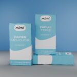 Papier Mouchoir de Poche (48x10x10)